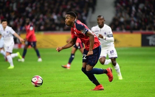 积累了丰富 积累了丰富